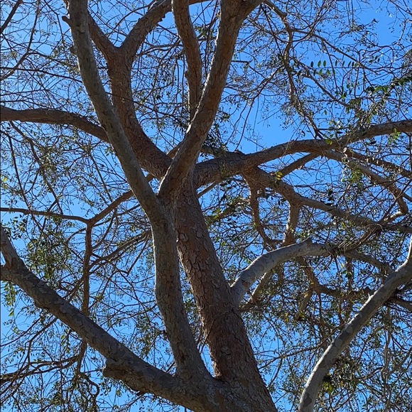 Meet your Posher, Robert - Picture 1 of 1